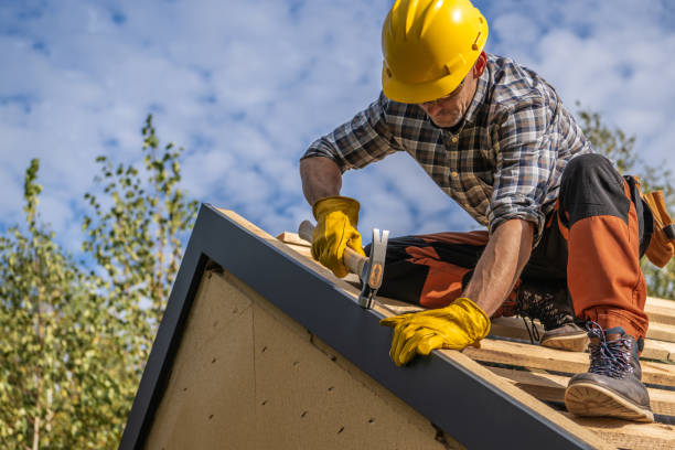 Best Sheet Metal Roofing  in Alamosa, CO